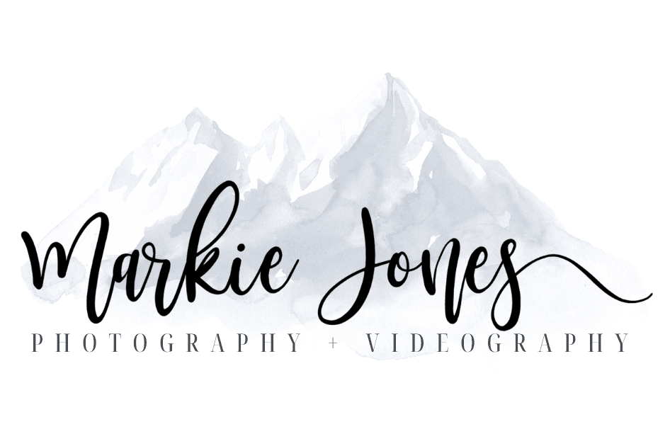 Mountain Logo
